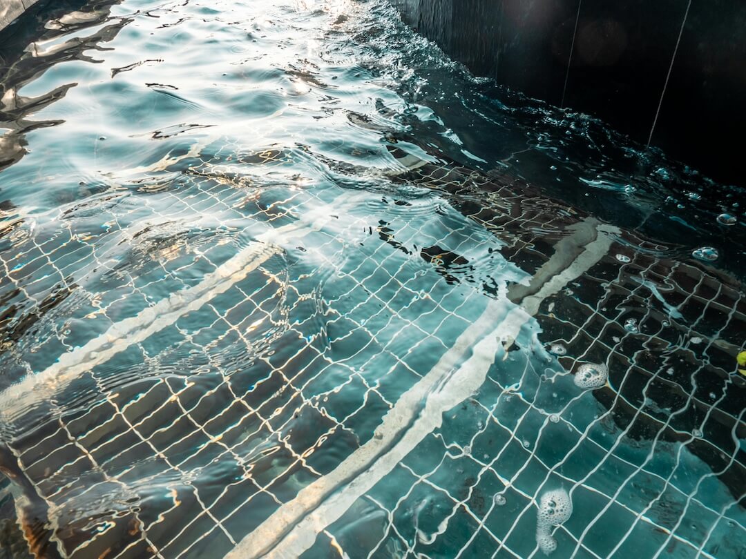 What We Test and Why It Impacts Your Swim Experience Image
